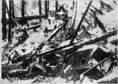 Wellington, WA 1910 avalanche debris field Wellington, WA 1910 avalanche debris field
